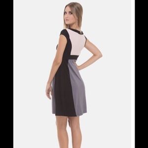 Olian designer Nordstrom color block Margarett sheath maternity dress